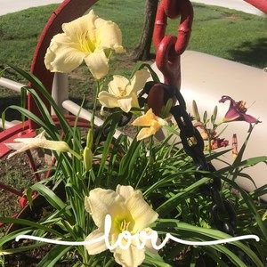 Meet your Posher, Beverly